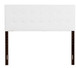 Super Nova - Queen Bed Headboard - White