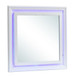 Elegant Transitional LED Mirror 2 - Silver Champagne
