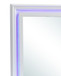 Elegant Transitional LED Mirror 2 - Silver Champagne