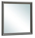 Elegant Transitional Mirror - Metalic Black