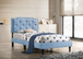 Twin Bed Stylish Vibrant - Blue