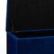 Cosmopolitan - Storage Ottoman - Blue