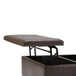 Ellis - Coffee Table Storage Ottoman - Chocolate Brown