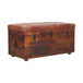 Buffalo - Hide Leather Storage Trunk - Brown