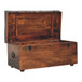 Buffalo - Hide Storage Trunk - Brown