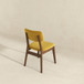 Carlos - Solid Back Side Chair (Set of 2) - Dark Yellow