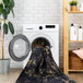 Maval - 4' X 6' Washable Area Rug - Black / Gold