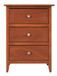 Daniel - Transitional Nightstand - Oak