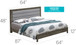 Transitional Modern Design Bed
