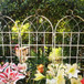 Metal Garden Rustproof Trellis For Climbing Plants Outdoor Flower Support
