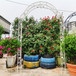Metal Garden Arch Assemble Freely With 8 Styles Garden Arbor Trellis Climbing Plants Support Rose Arch