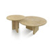 Elegant Coffee Duo Table Set
