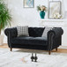 Chesterfield Velvet Upholstery Fabric Loveseat With Roll Armrest And Nailhead