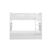 Galen - Bunk Bed
