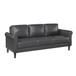 Hector - Sofa & Loveseat