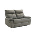 Wildcat - Motion Loveseat - Gray