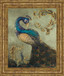 22x26 Peacock On Sage Il By Tiffany Hakimipour - Framed Print Wall Art - Blue