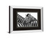 A Safe Place By Papiorek Mirrored Frame - Black