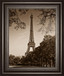 An Afternoon Stroll-pari By Maihara - Real Glass - Light Brown
