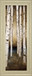 Birch Landing III By St Germain - Framed Print Wall Art - Beige