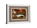 Bow Bridge By Tom Reeves - Mirror Framed Print Wall Art - Light Brown