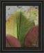 Butterfly Palm I By Patricia Pinto - Framed Print Wall Art - Green