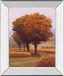 Charmony By Lovelace - Mirror Framed Print Wall Art - Orange