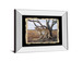 Cheetah - Mirror Framed Print Wall Art - Beige