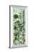 Climbers IV By James Burghardt - Mirror Framed Print Wall Art - Green