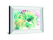 Color Full By Marie D. Mirrored Frame - Green