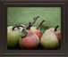 Comice Pear I By Rachel Perry - Framed Print Wall Art - Green