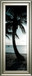 Cool Bimini Palms Il By Susan Bryant - Framed Print Wall Art - Black