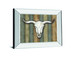 Cow Skull Il By Marla Rae - Mirror Framed Print Wall Art - Light Brown
