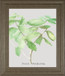 Ficus Robusta By Katrien Soeffers - Framed Print Wall Art - Green