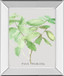 Ficus Robusta By Katrien Soeffers - Mirror Framed Print Wall Art - Green