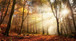 Floating Tempered Glass With Foil Forest In Sunshine - Light Brown