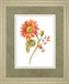Floursack Autumn II On By Danhui Nai - White