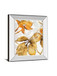 Shadows Il By Patricia Pinto - Mirror Framed Print Wall Art - Light Brown