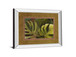 Green For Ever I By Patricia Pinto - Mirror Framed Print Wall Art - Green