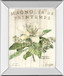 Magnolia De Printemps By Sue Schlabach - Mirror Framed Print Wall Art - Beige