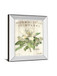 Magnolia De Printemps By Sue Schlabach - Mirror Framed Print Wall Art - Beige