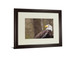 Majestic Eagle By Garytog Double Matted - Framed Print Wall Art - Dark Brown