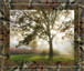 Morning Calm By Lee Frost - Framed Print Wall Art - Green