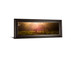 Morning Haze By Joe Reynolds Wall Art - Dark Brown