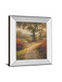 Morning Light Il By Michael Marcon - Mirror Framed Print Wall Art - Dark Brown
