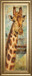 New Safari On Teal I By Patricia Pinto - Framed Print Wall Art - Light Brown