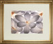 Petal Perfect By Assaf Frank - Framed Print Wall Art - Beige