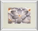 Petal Perfect By Assaf Frank - Mirror Framed Print Wall Art - Beige