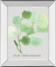 Pilea Peperomioides By Katrien Soeffers - Mirror Framed Print Wall Art - Green