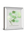Pilea Peperomioides By Katrien Soeffers - Mirror Framed Print Wall Art - Green
